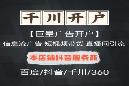实战技巧：竞价推广案例解析与优化策略